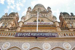 Bombay High Court directs BMC to streamline Bakr-Eid animal slaughter process